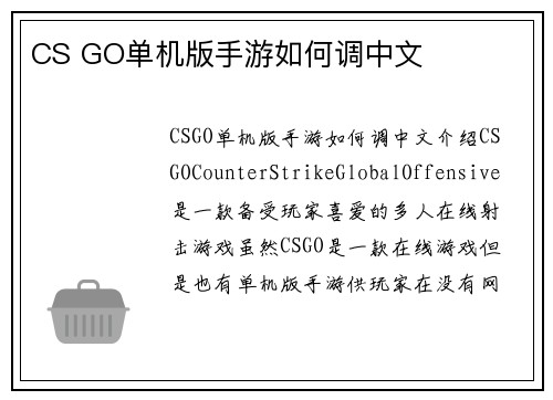 CS GO单机版手游如何调中文